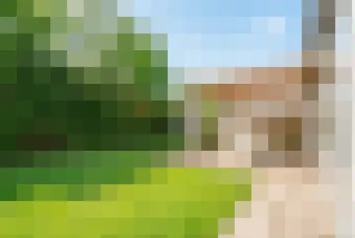 Schoneveld 167 Breskens thumbnail 23