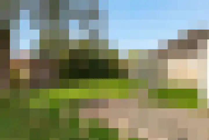 Schoneveld 167 Breskens thumbnail 24