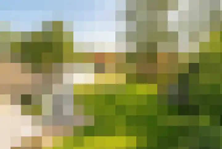 Schoneveld 167 Breskens thumbnail 26
