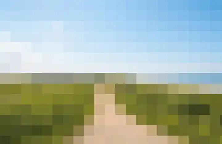 Schoneveld 167 Breskens thumbnail 27