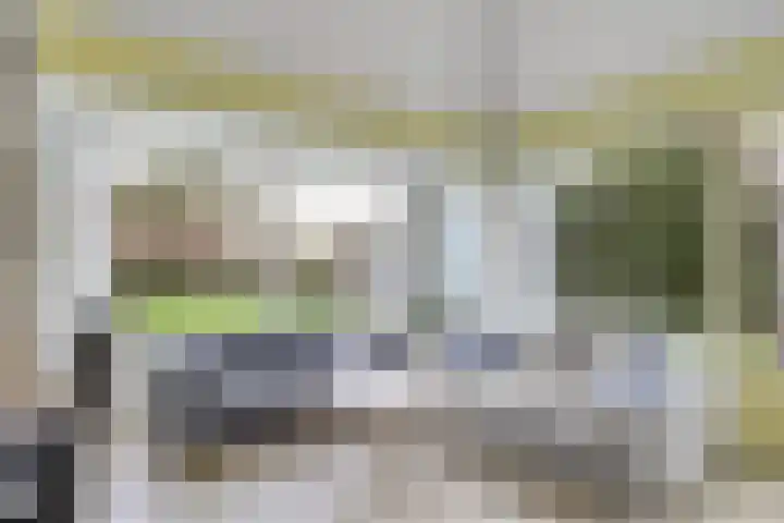 Schoneveld 167 Breskens thumbnail 5