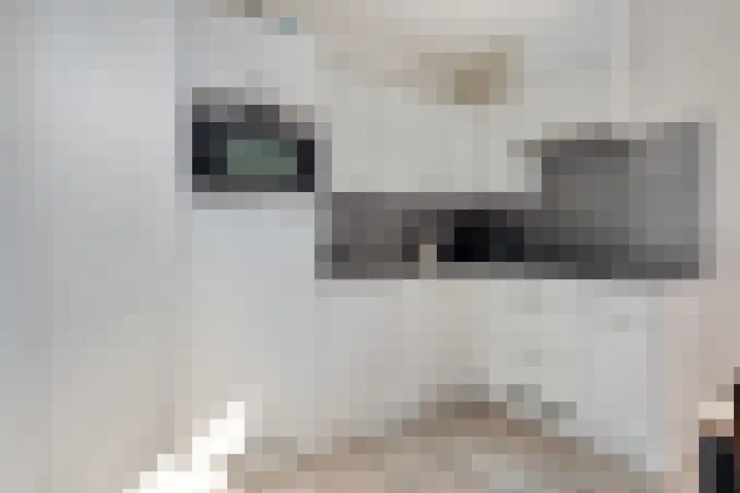 Schoneveld 193 Breskens thumbnail 10