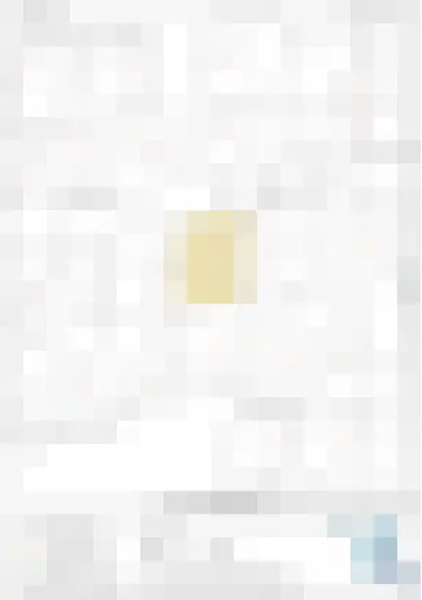 Schoneveld 193 Breskens thumbnail 33