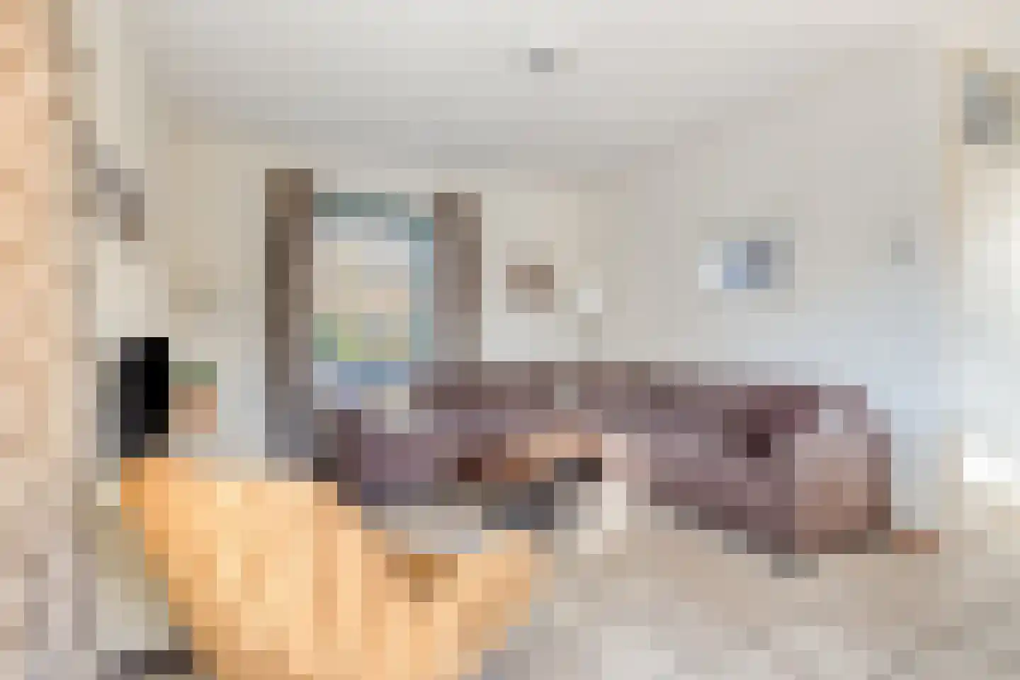 Schoneveld 193 Breskens thumbnail 5