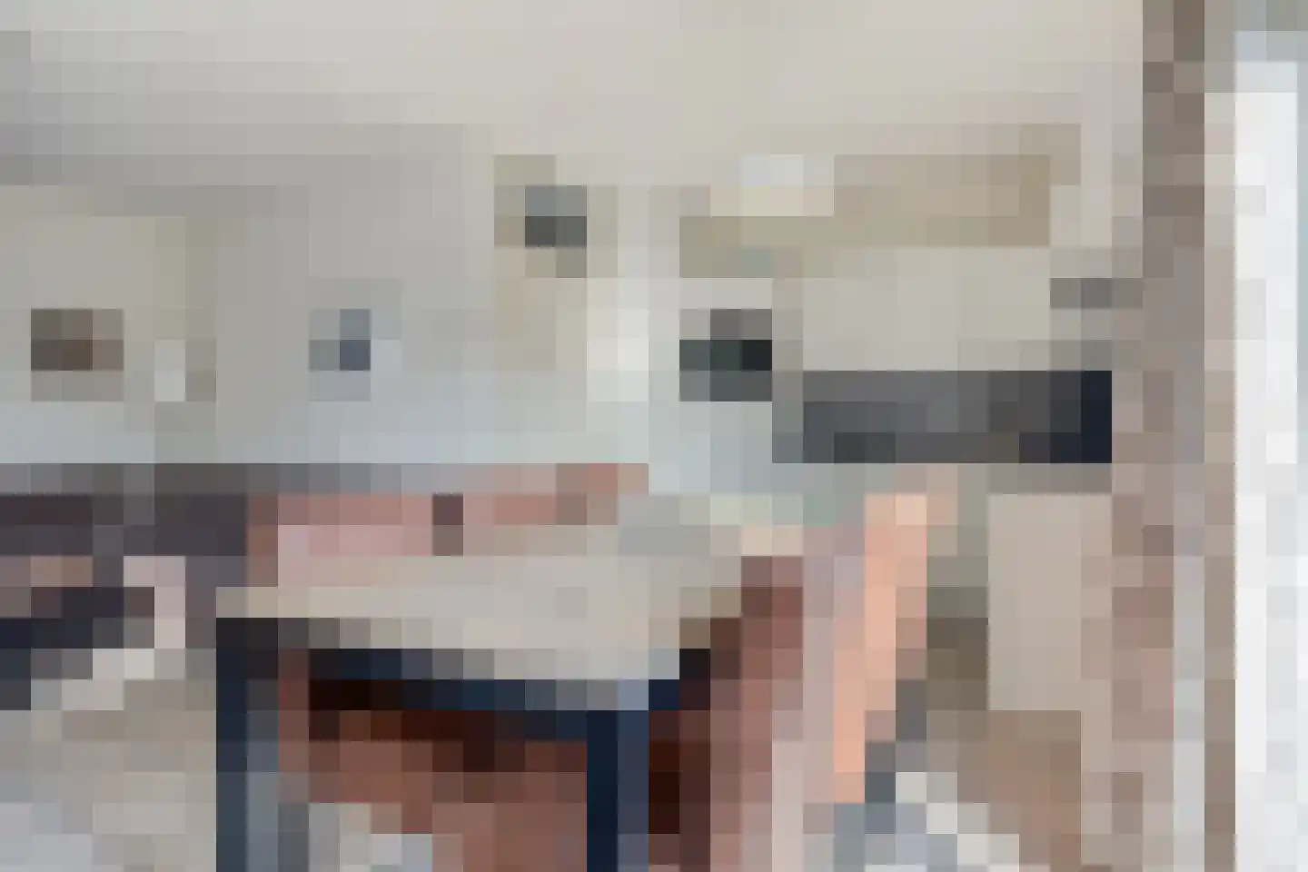 Schoneveld 193 Breskens thumbnail 8