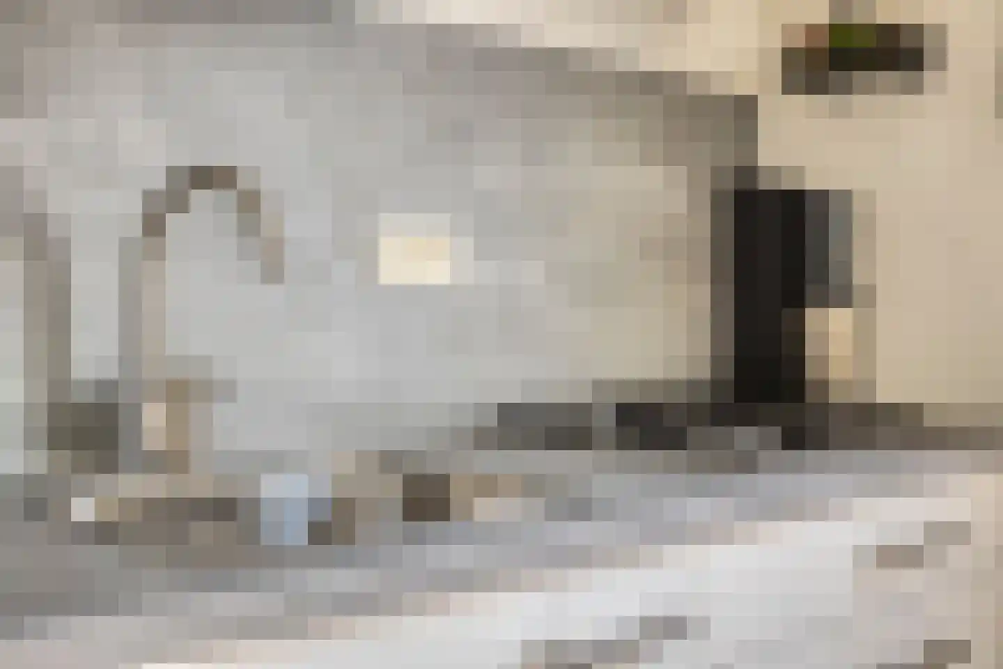 Schoneveld 213 Breskens thumbnail 10