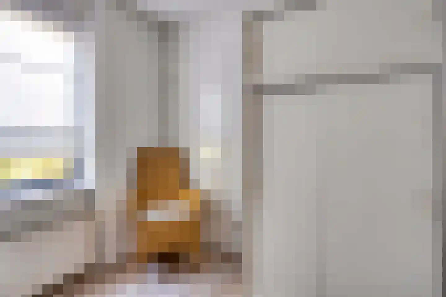 Schoneveld 213 Breskens thumbnail 12