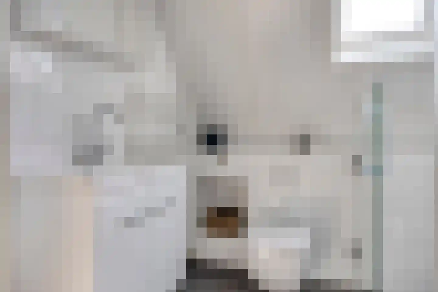 Schoneveld 213 Breskens thumbnail 14