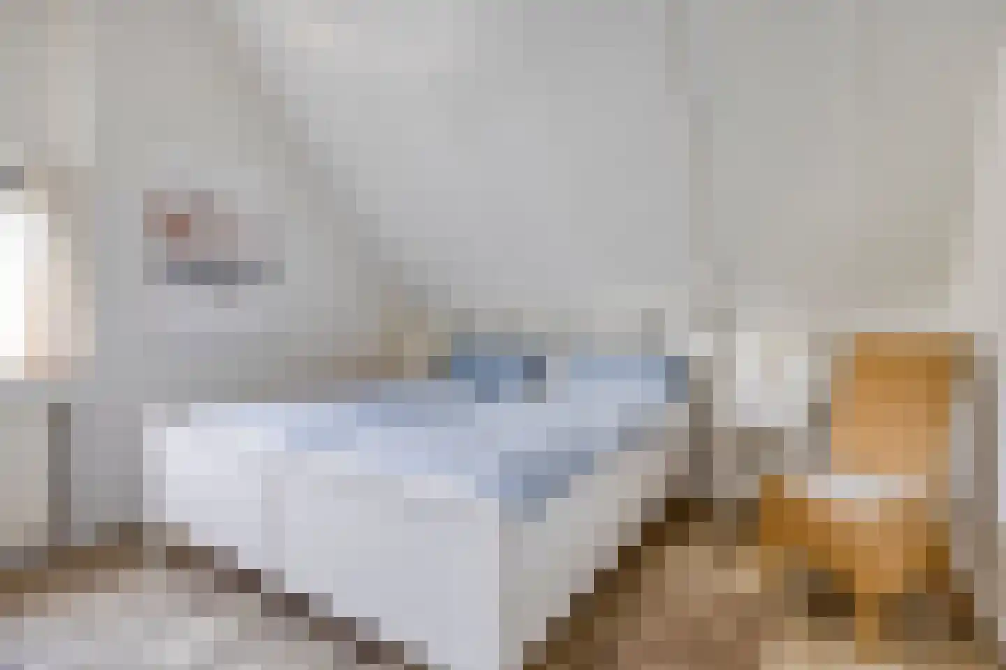 Schoneveld 213 Breskens thumbnail 15