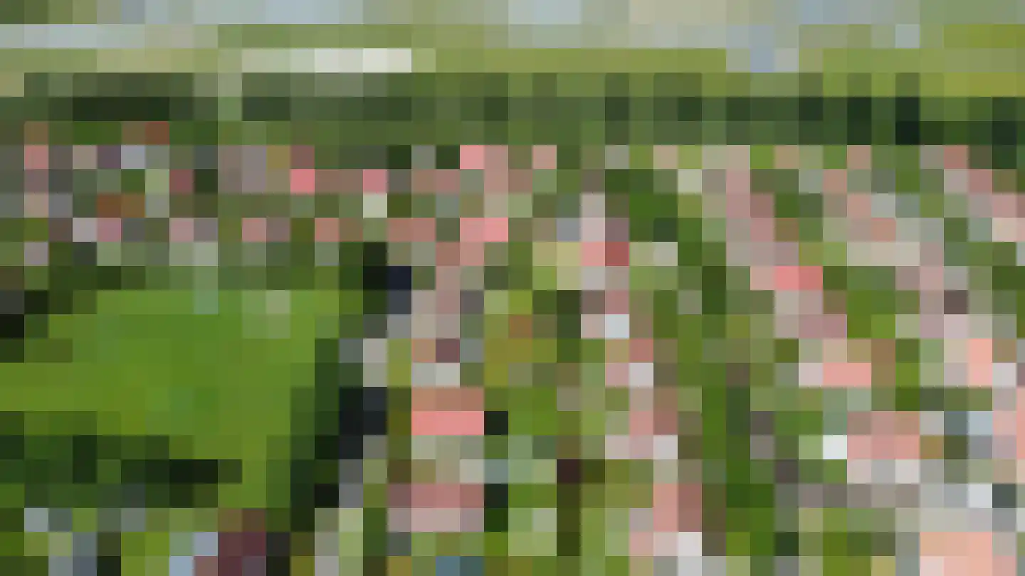 Schoneveld 213 Breskens thumbnail 24