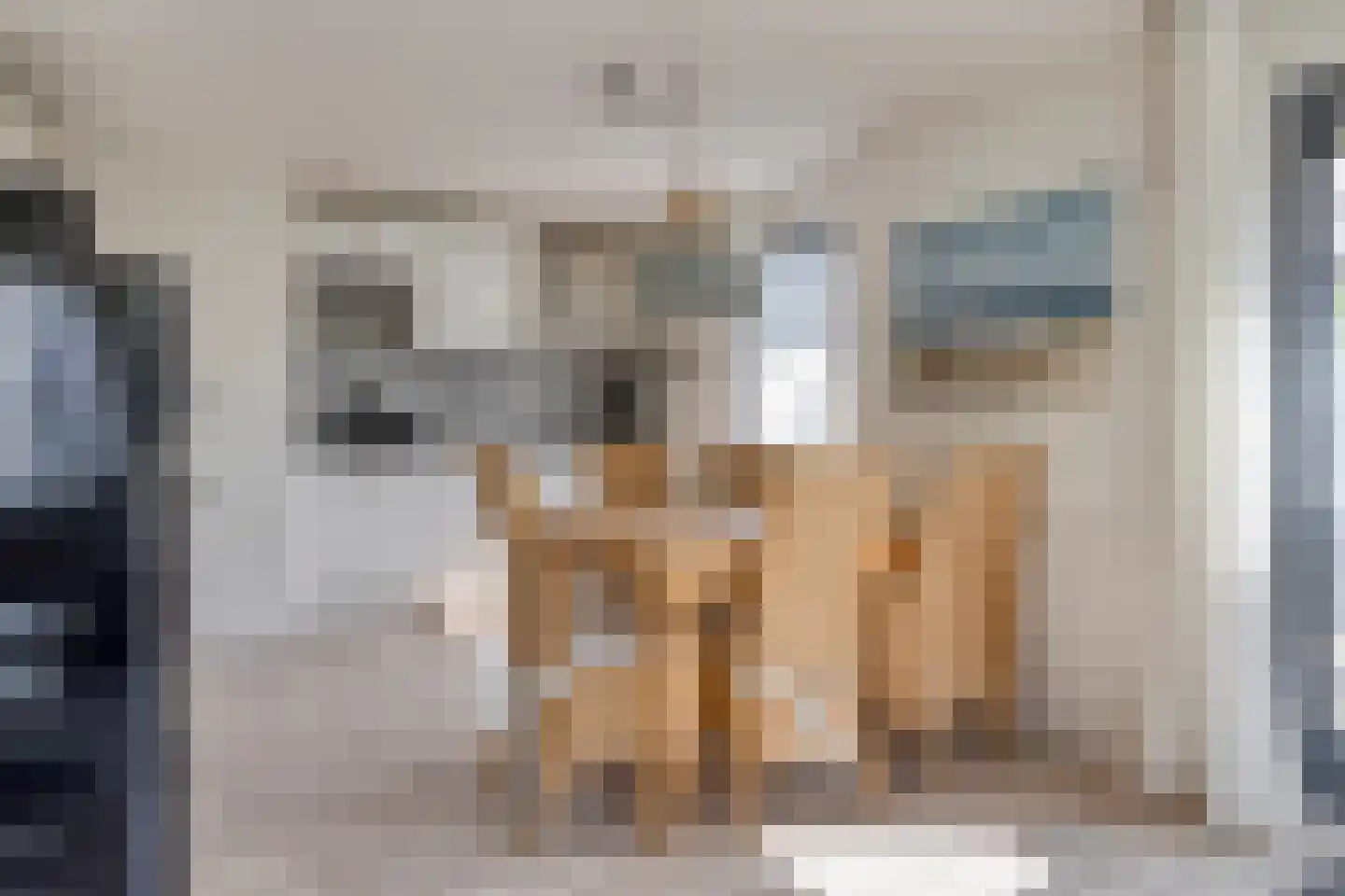 Schoneveld 213 Breskens thumbnail 7