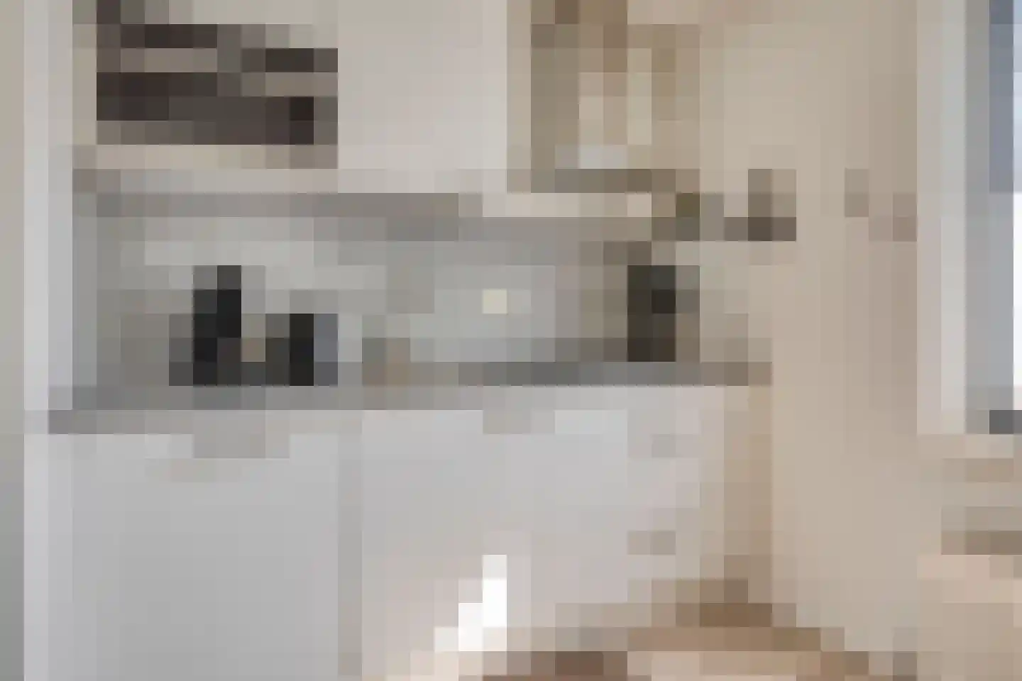 Schoneveld 213 Breskens thumbnail 9
