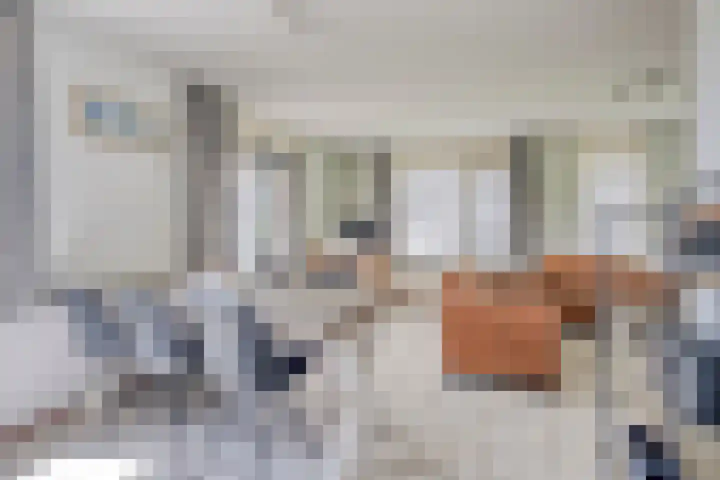 Schoneveld 232 Breskens thumbnail 10
