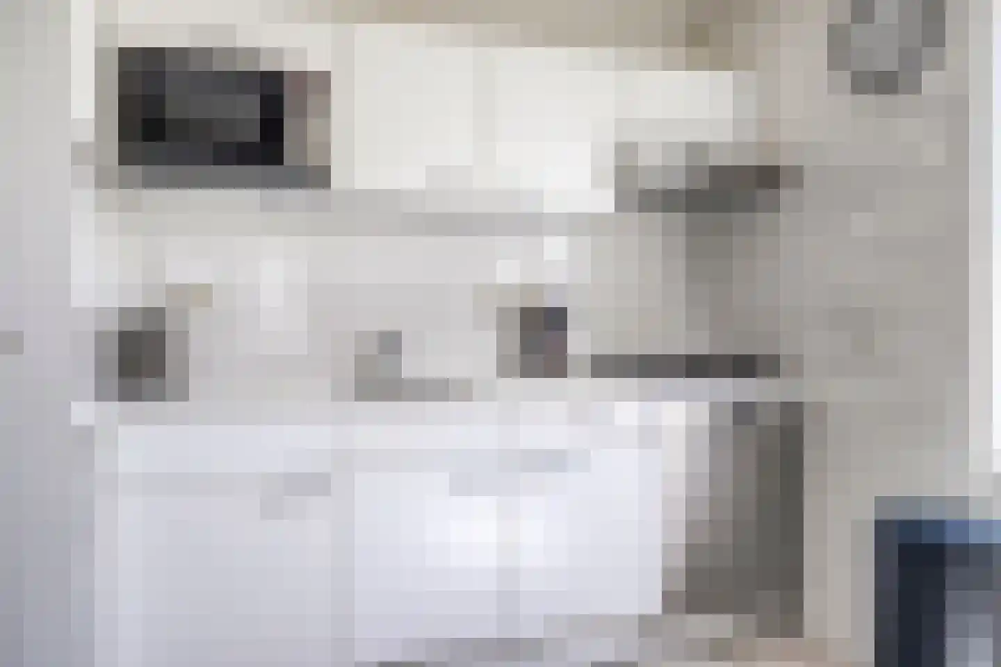 Schoneveld 232 Breskens thumbnail 11