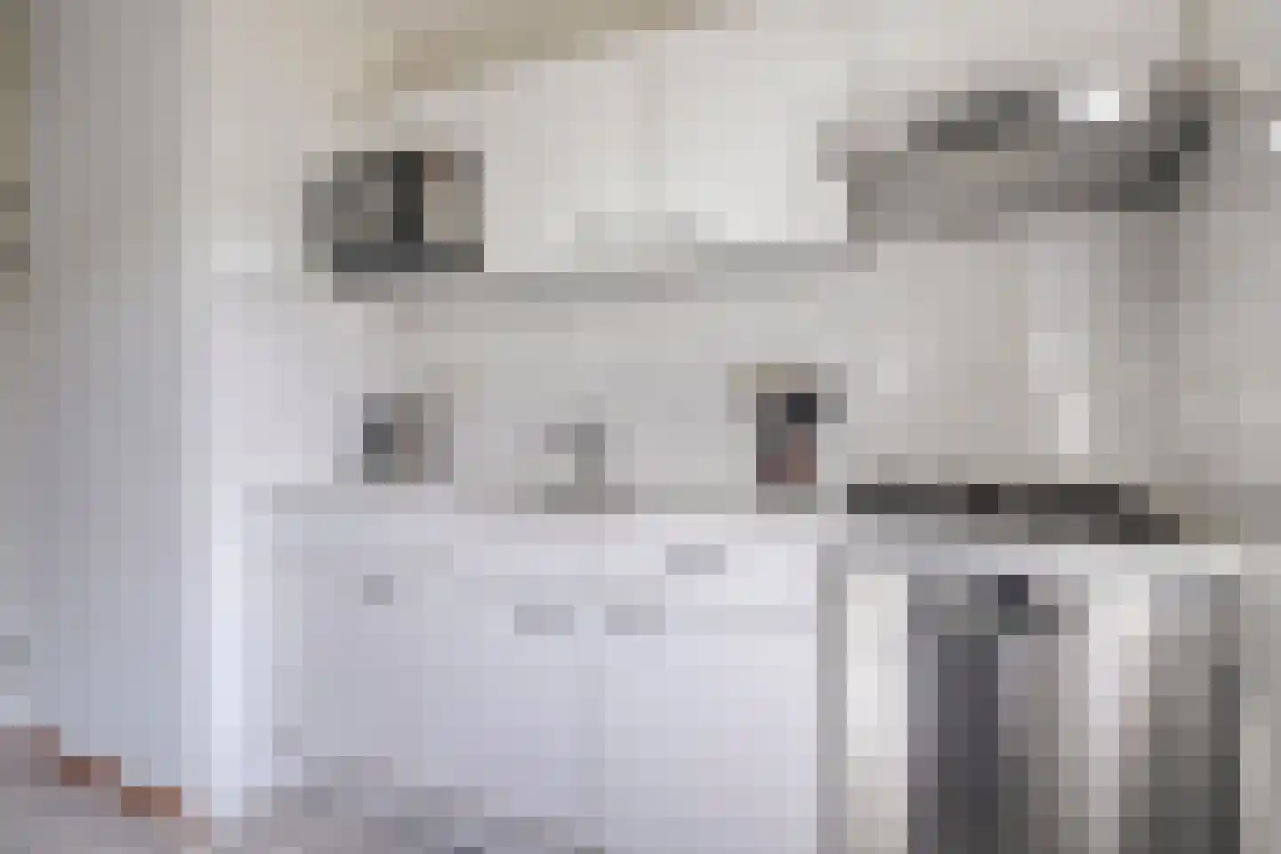 Schoneveld 232 Breskens thumbnail 12