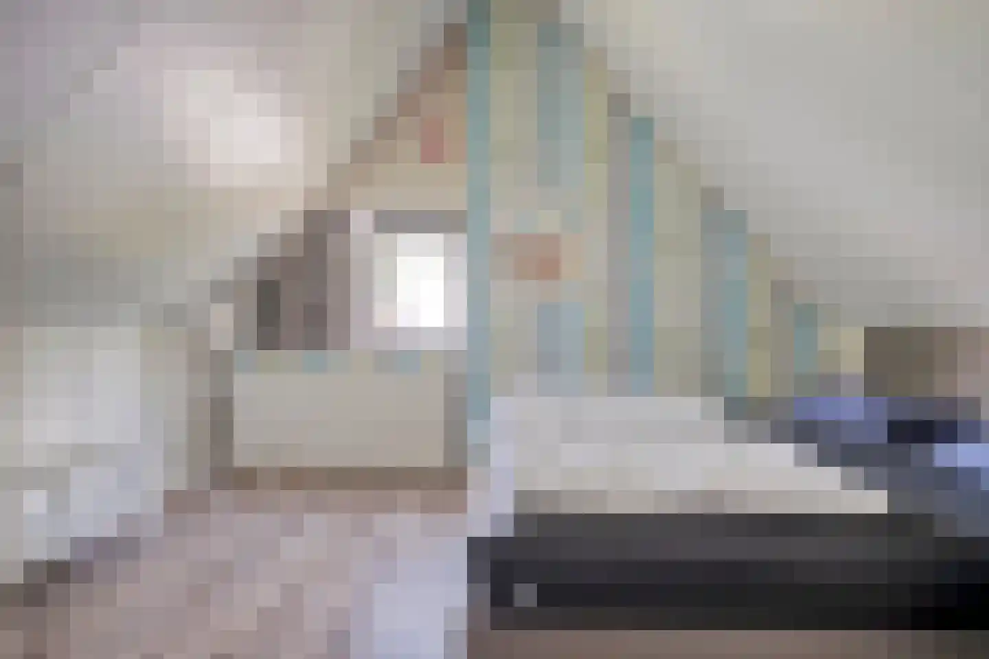 Schoneveld 232 Breskens thumbnail 17