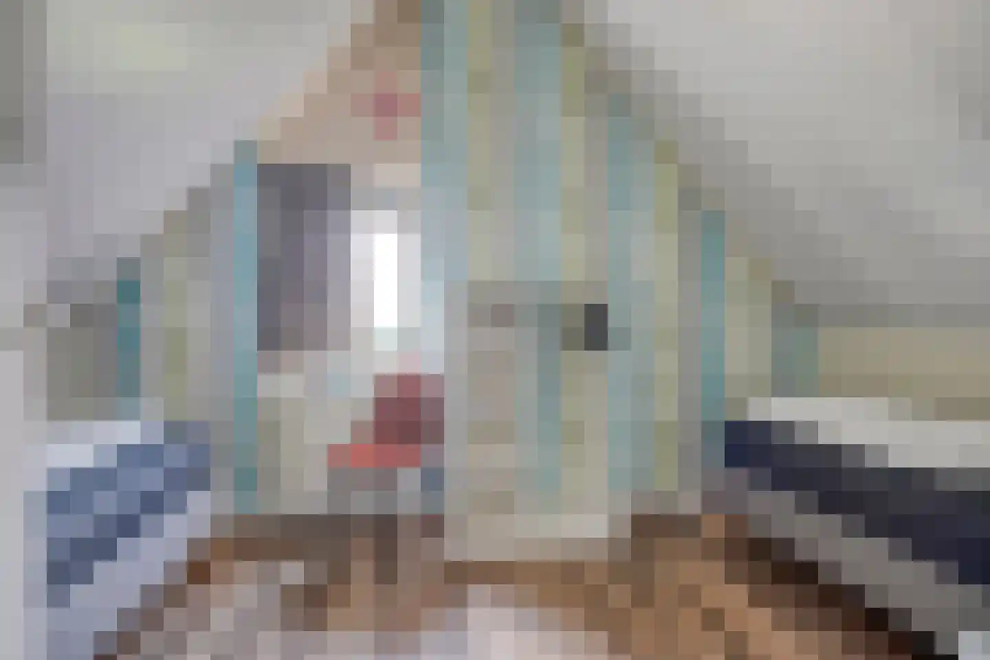 Schoneveld 232 Breskens thumbnail 20