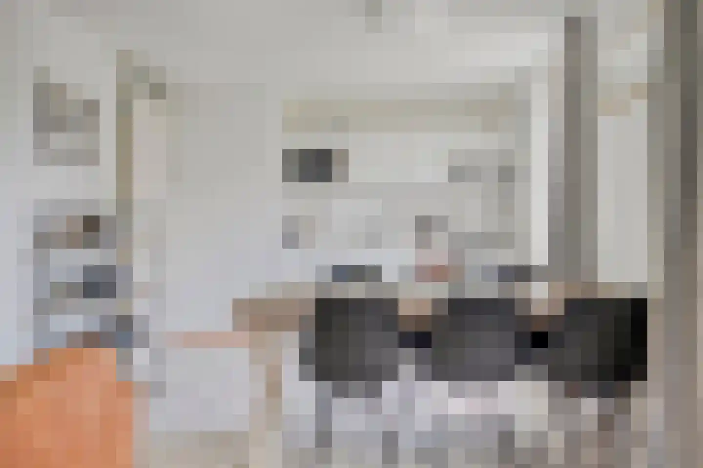 Schoneveld 232 Breskens thumbnail 9