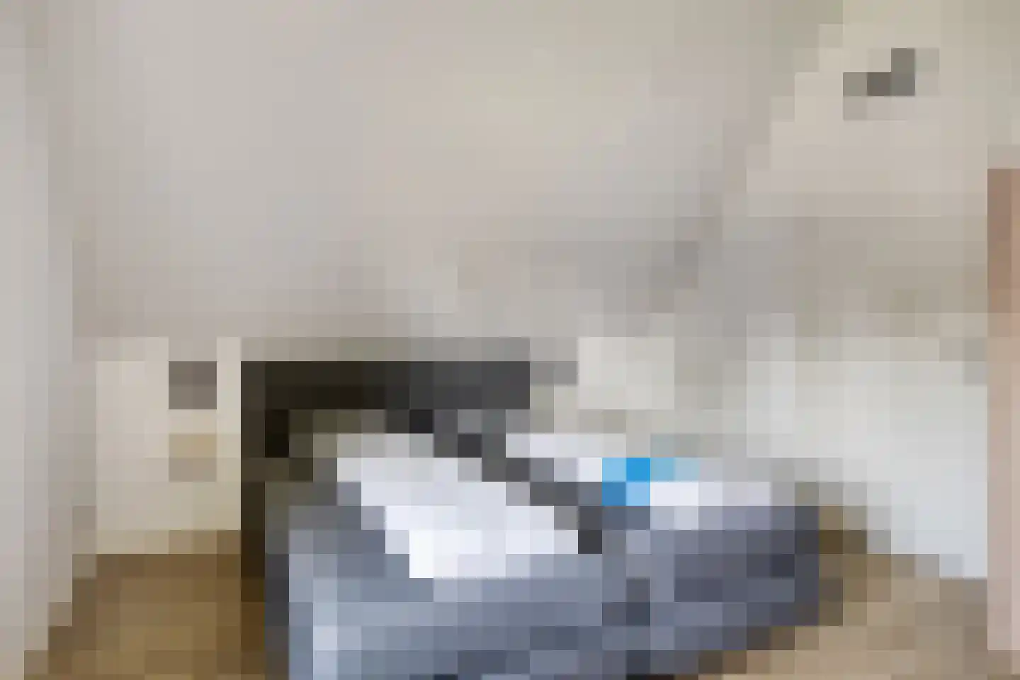 Schoneveld 262 Breskens thumbnail 20