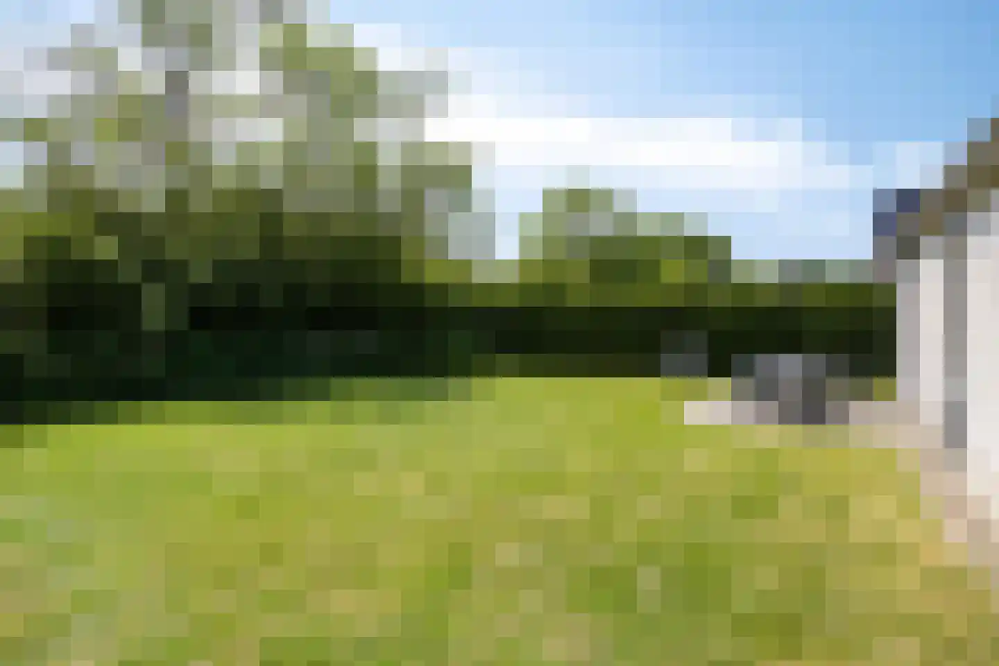 Schoneveld 262 Breskens thumbnail 23