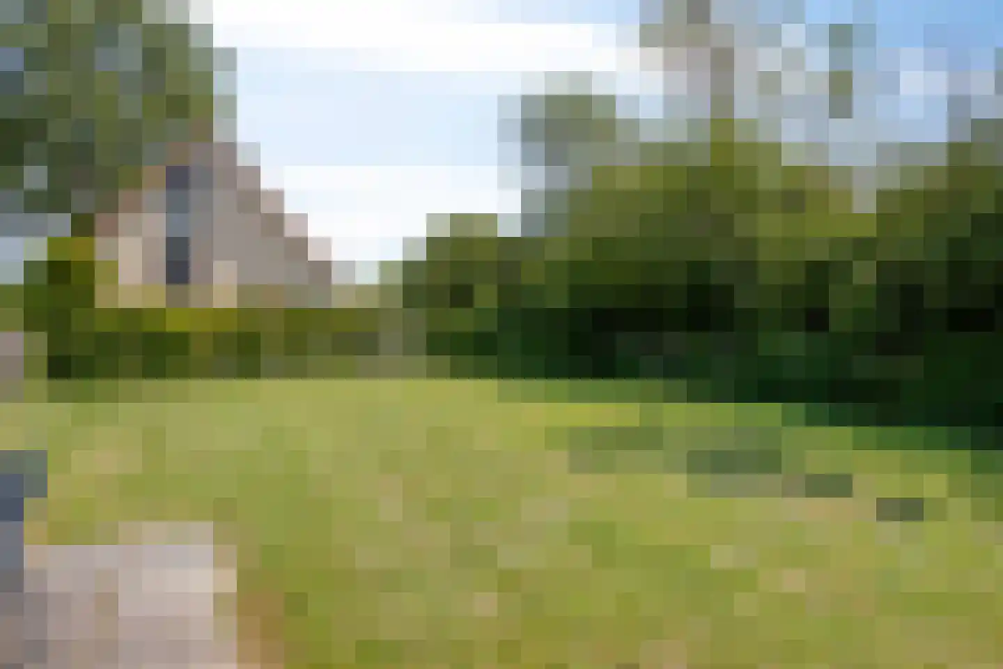 Schoneveld 262 Breskens thumbnail 24