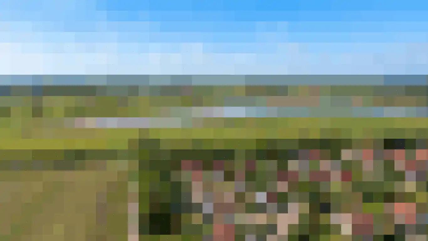 Schoneveld 262 Breskens thumbnail 28
