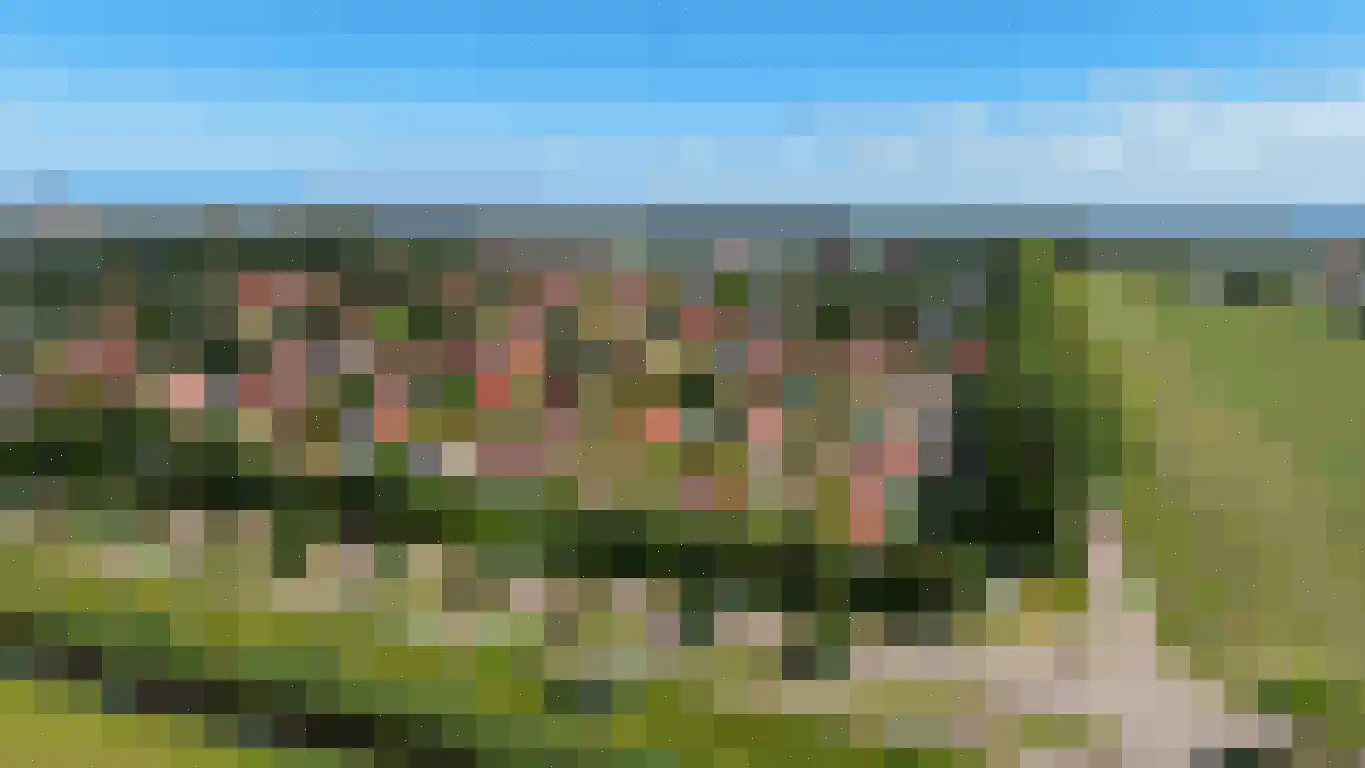 Schoneveld 262 Breskens thumbnail 29