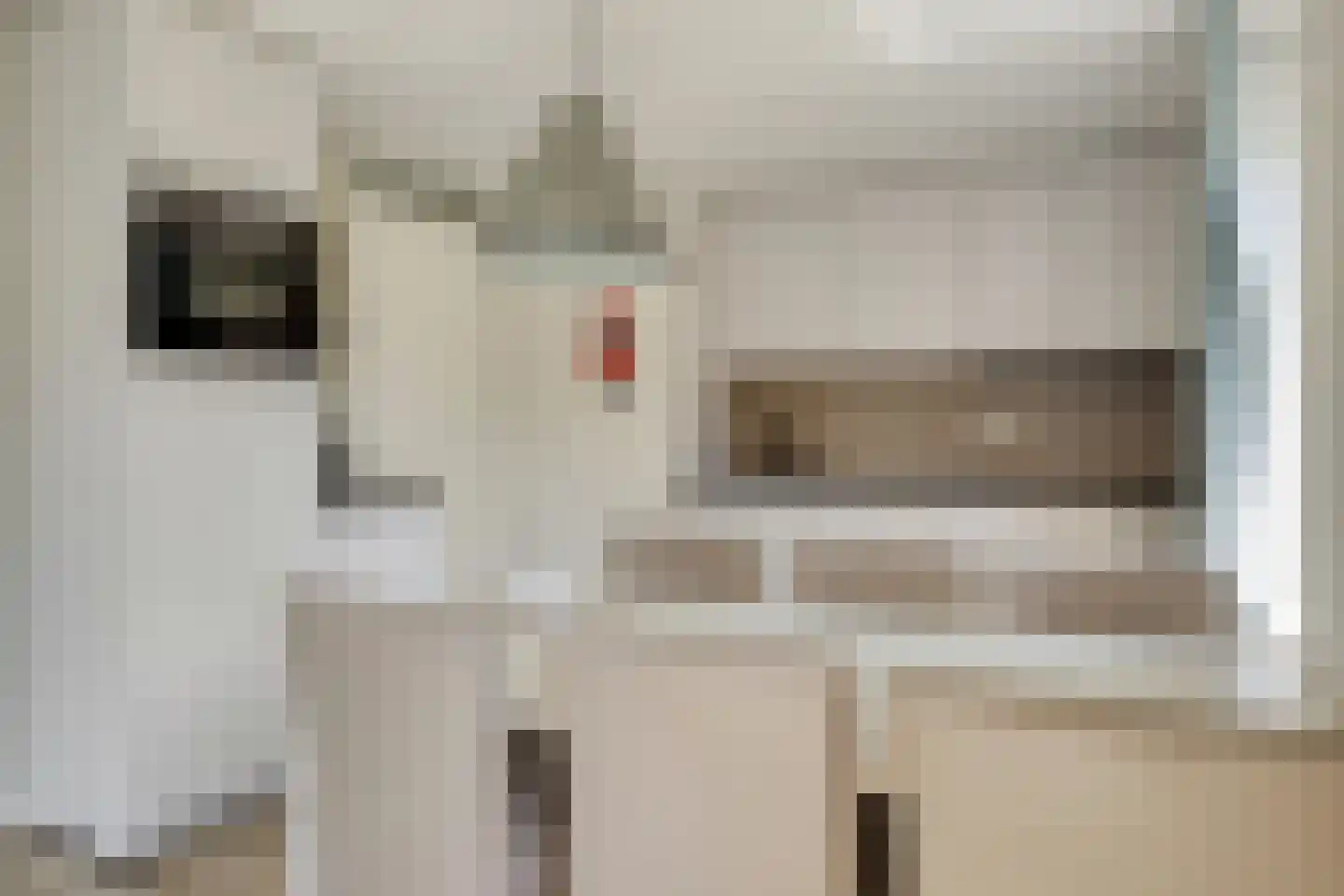 Schoneveld 262 Breskens thumbnail 8