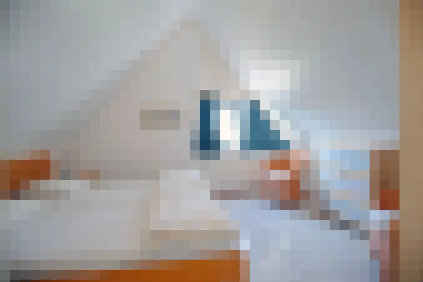 Schoneveld 331 Breskens thumbnail 16