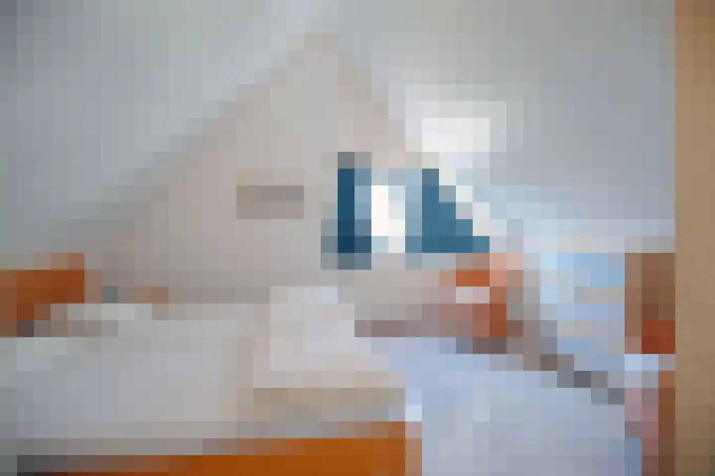 Schoneveld 331 Breskens thumbnail 16