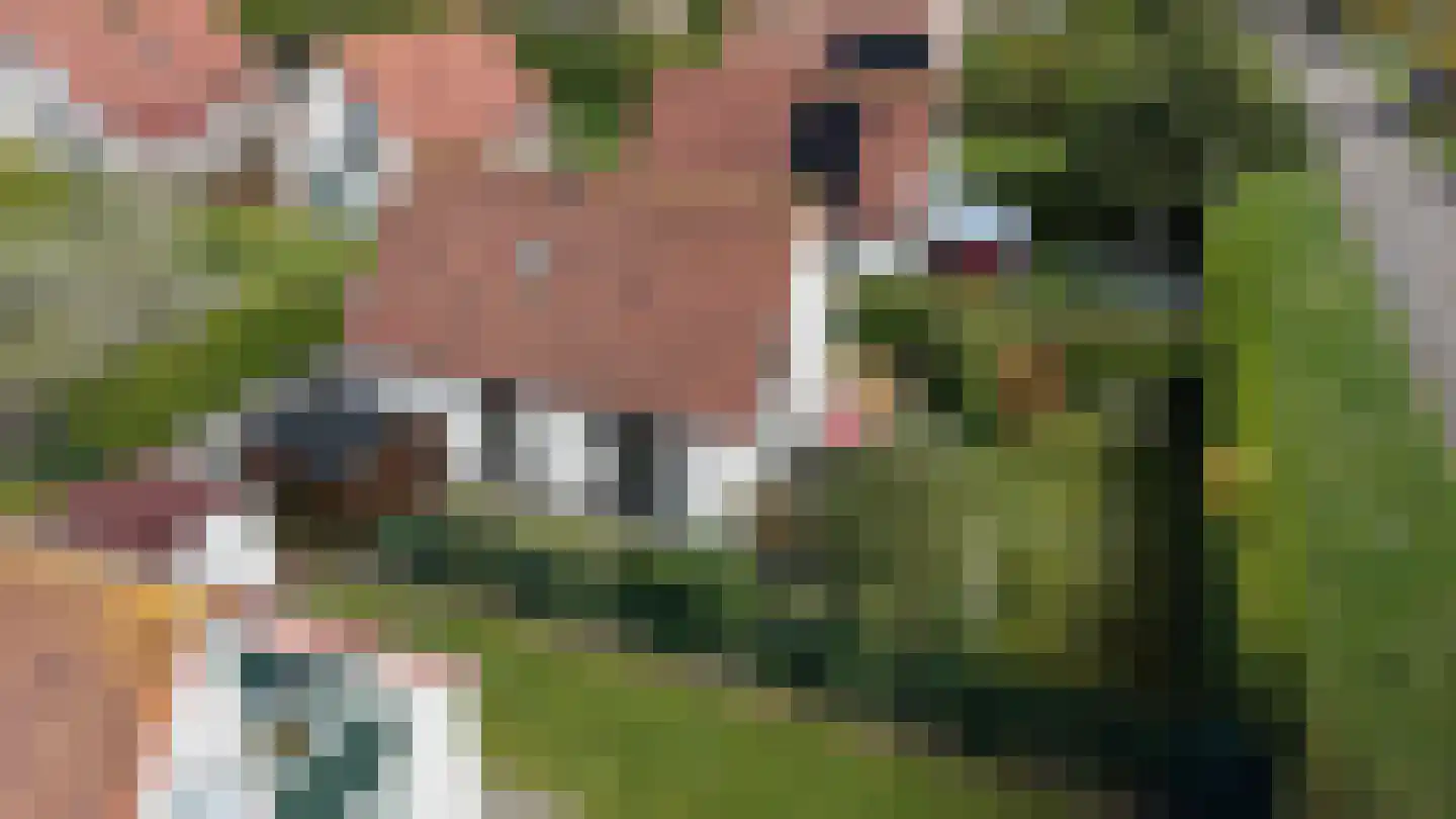 Schoneveld 331 Breskens foto 2