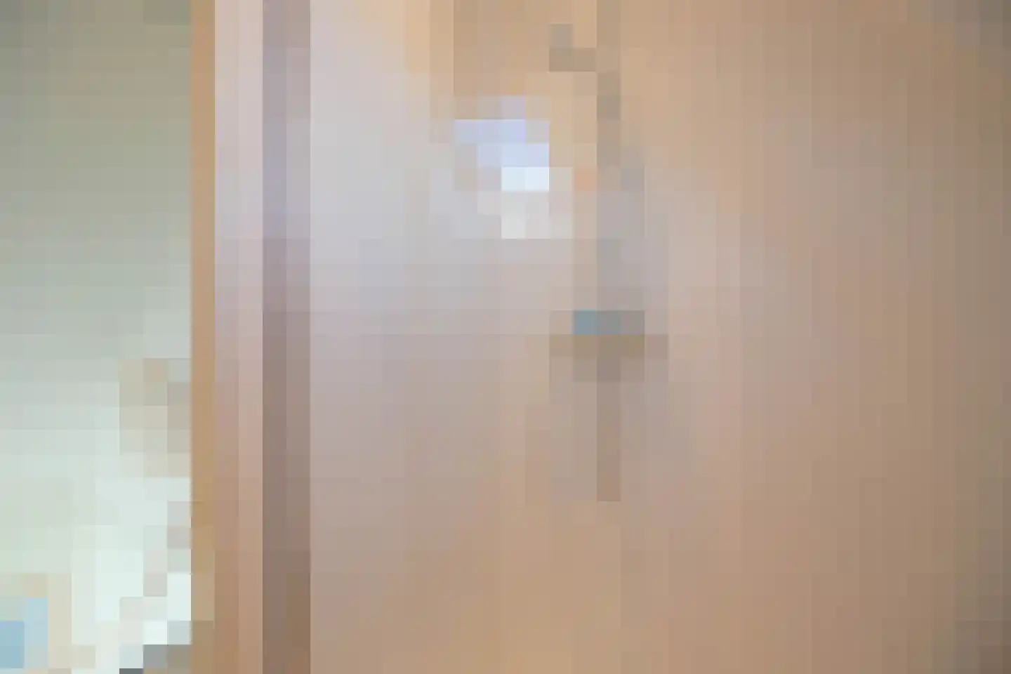 Schoneveld 331 Breskens thumbnail 22