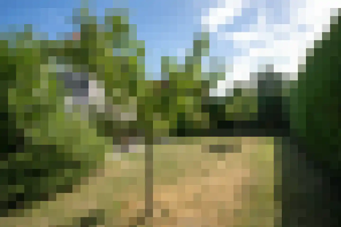 Schoneveld 331 Breskens thumbnail 25