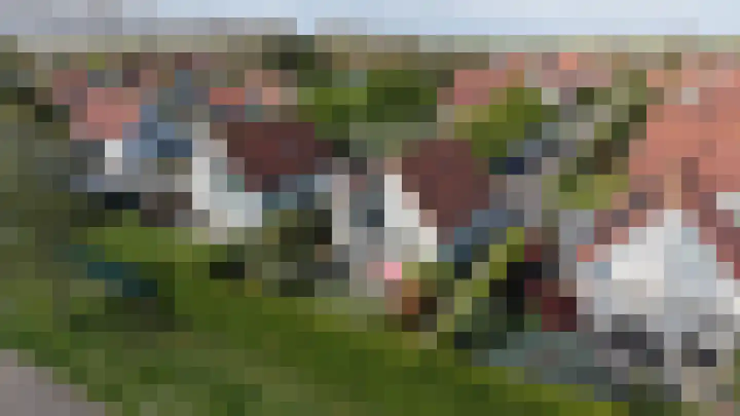 Schoneveld 331 Breskens thumbnail 30