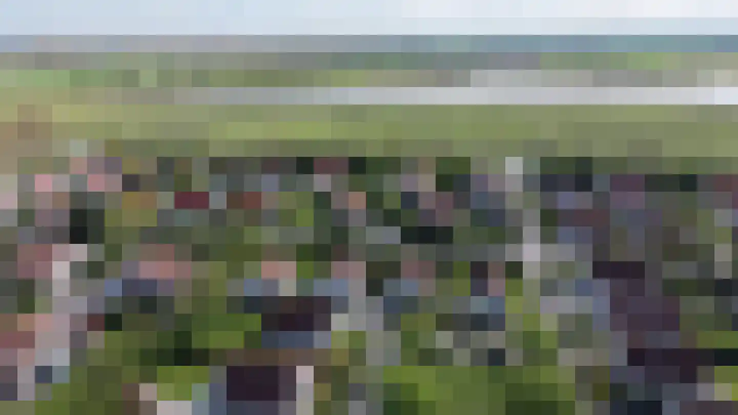 Schoneveld 331 Breskens thumbnail 31