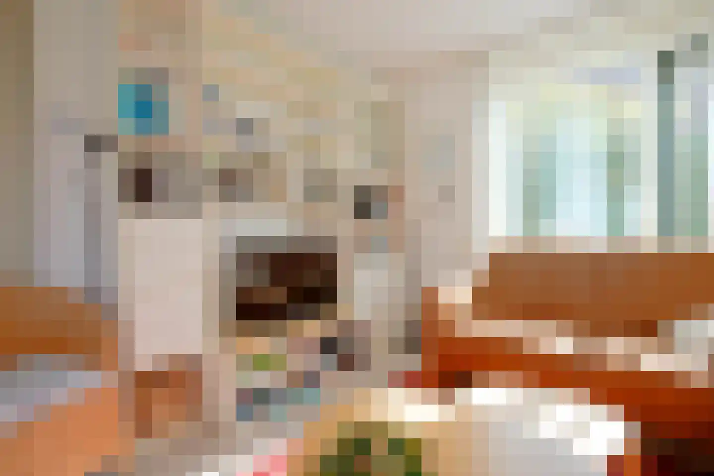 Schoneveld 331 Breskens thumbnail 5