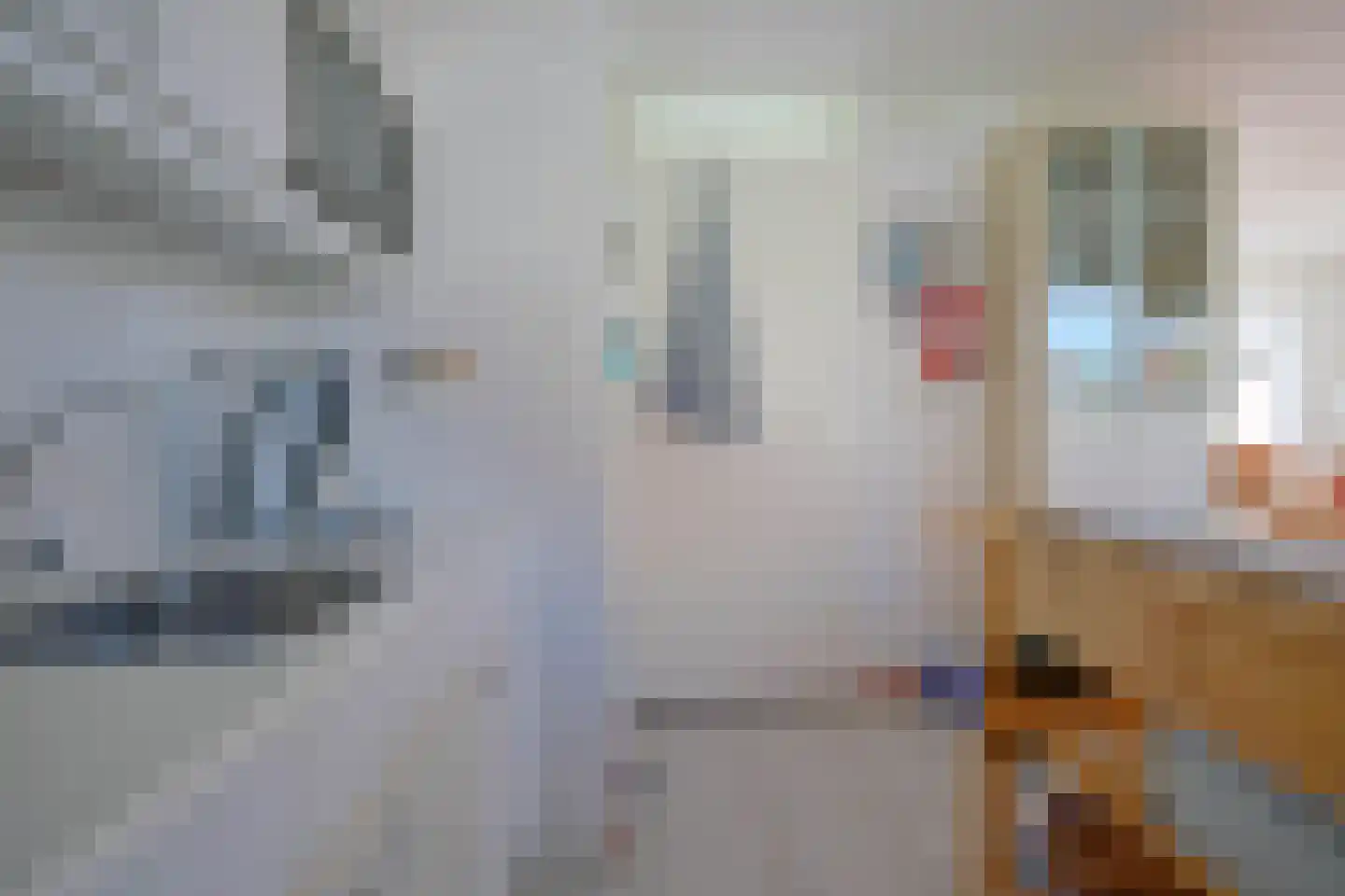 Schoneveld 331 Breskens thumbnail 9
