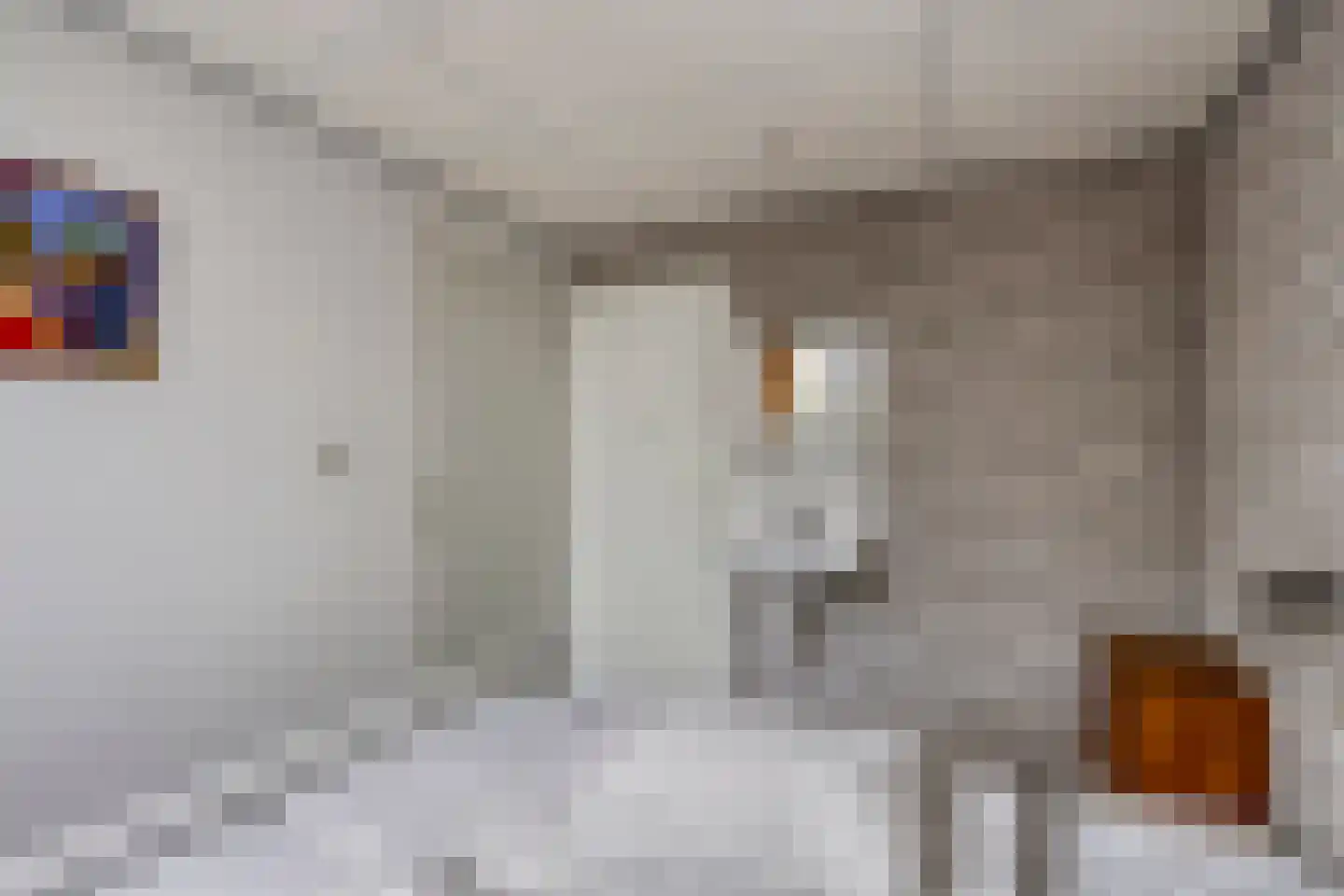 Schoneveld 365 Breskens thumbnail 12