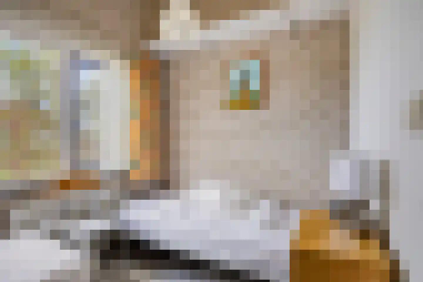 Schoneveld 365 Breskens thumbnail 15