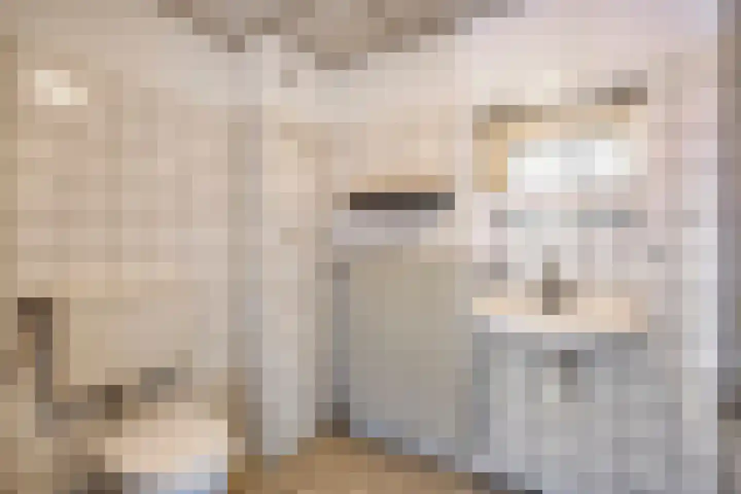 Schoneveld 365 Breskens thumbnail 17