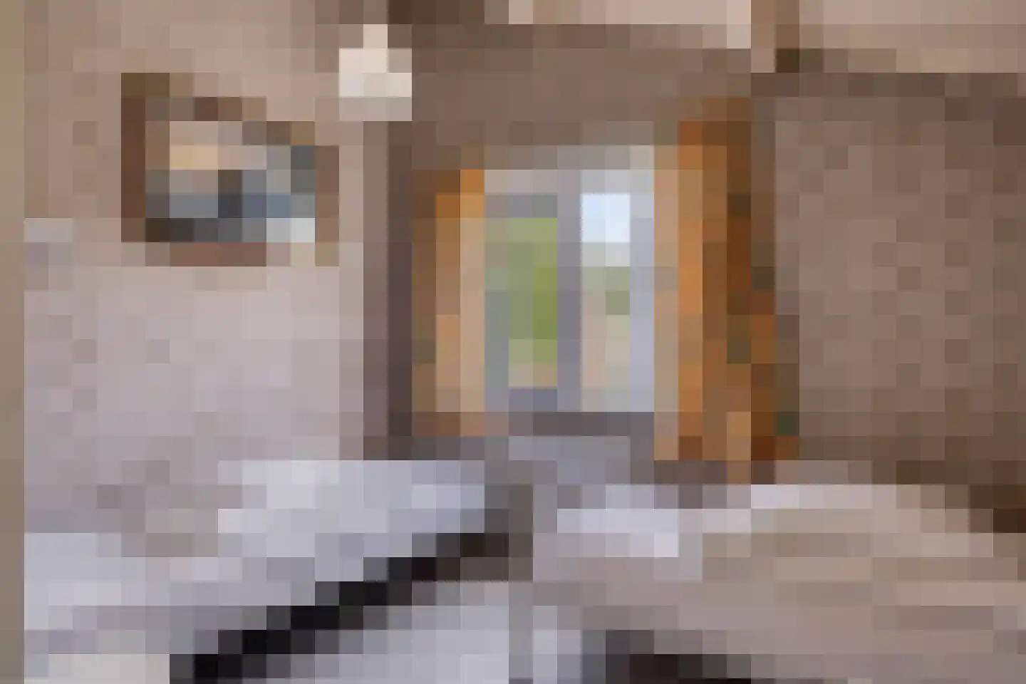 Schoneveld 365 Breskens thumbnail 19