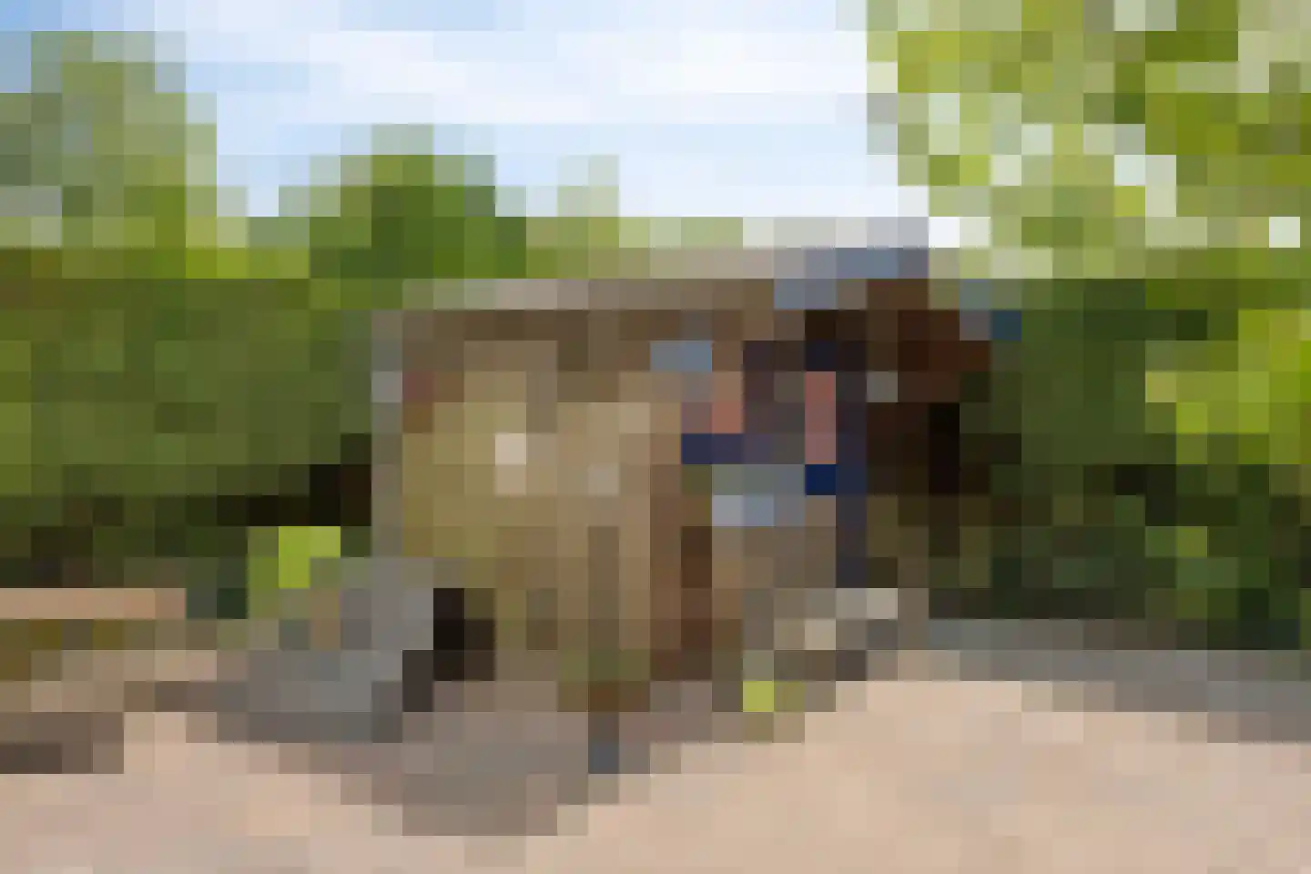 Schoneveld 365 Breskens thumbnail 24