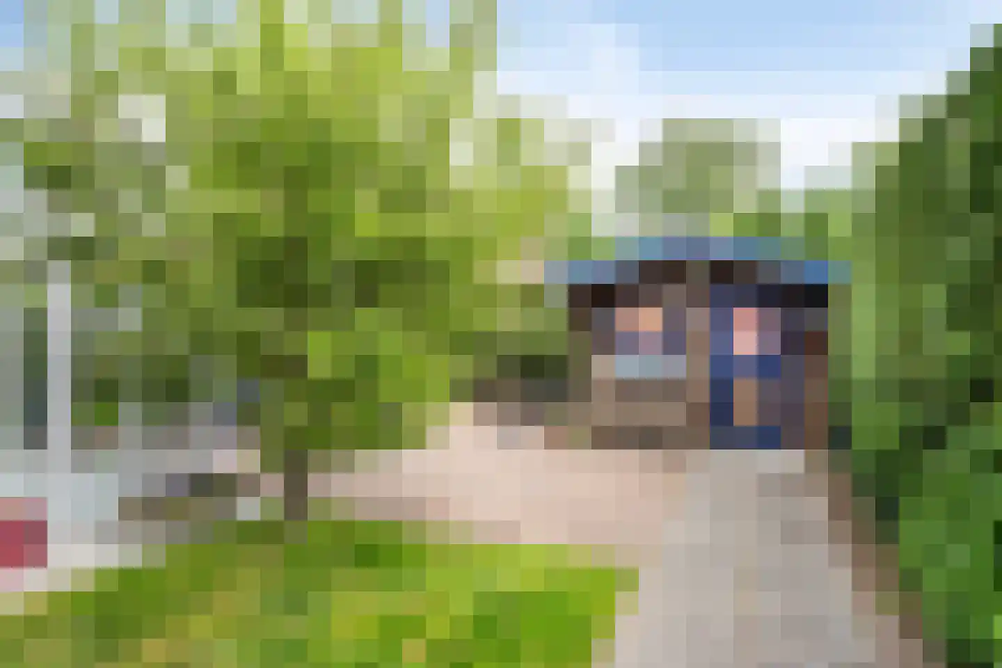 Schoneveld 365 Breskens thumbnail 25