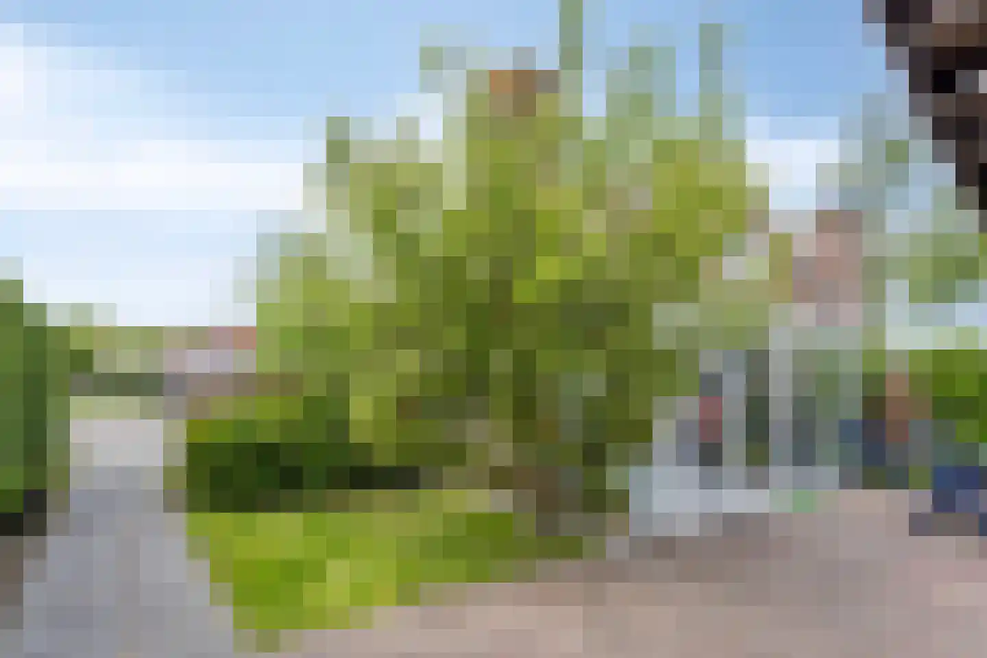 Schoneveld 365 Breskens thumbnail 26