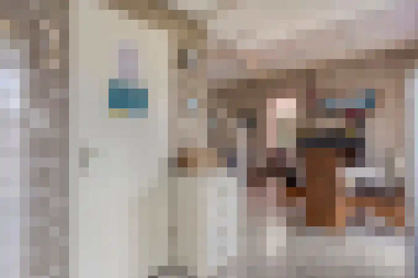 Schoneveld 365 Breskens thumbnail 4