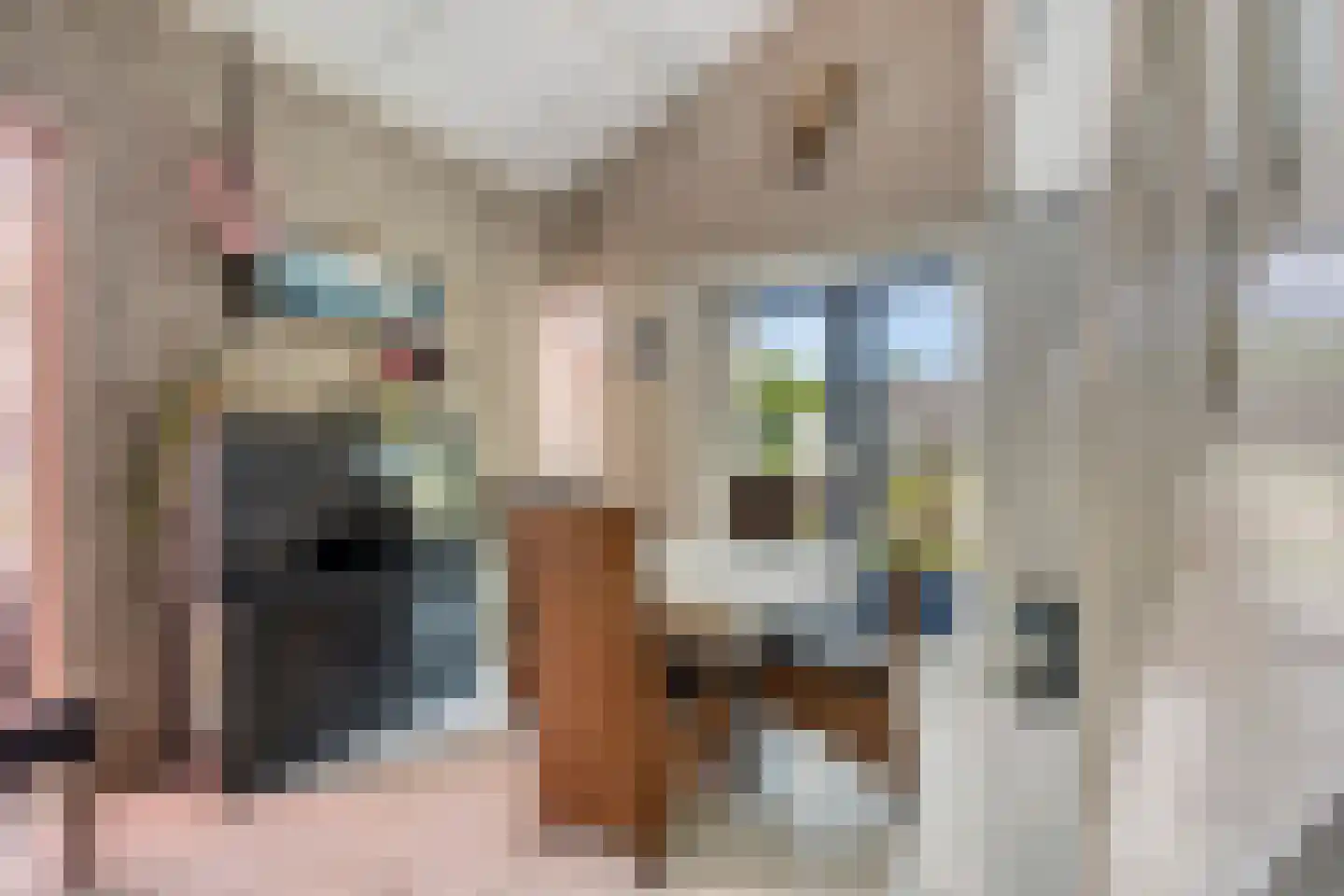 Schoneveld 365 Breskens thumbnail 5