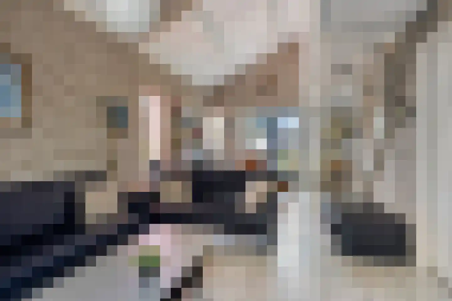 Schoneveld 365 Breskens thumbnail 8
