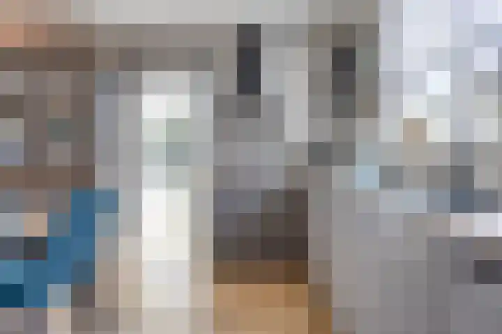 Schoneveld 4 Breskens thumbnail 12