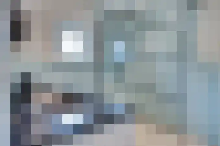 Schoneveld 4 Breskens thumbnail 19