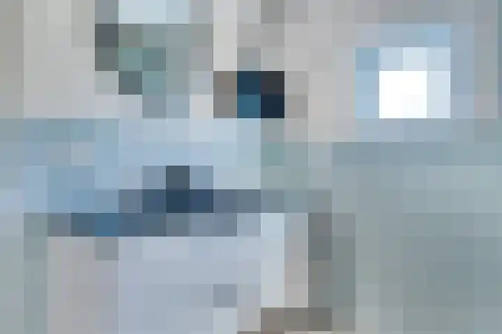Schoneveld 4 Breskens thumbnail 20